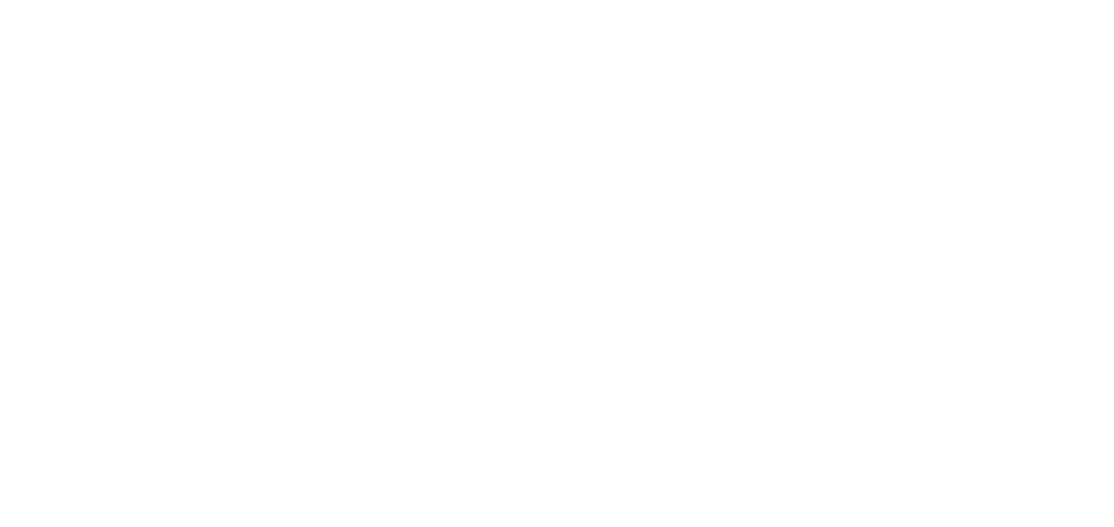 CIES - SEGUROS Y SOLUCIONES LTDA