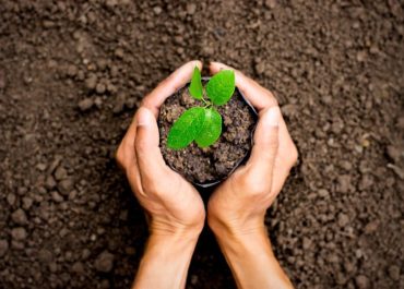 Restauración Ecológica